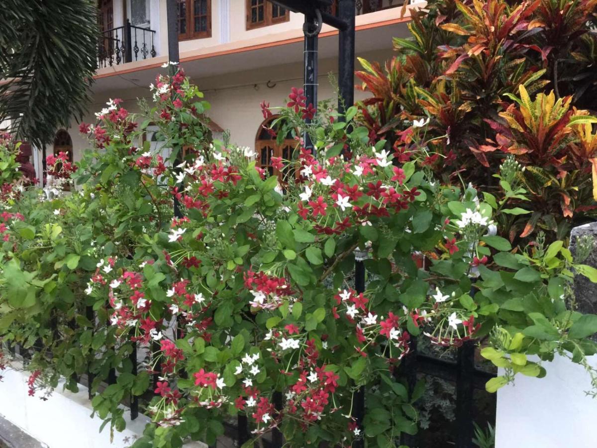 Senthil Complex Hotel Jaffna Ngoại thất bức ảnh